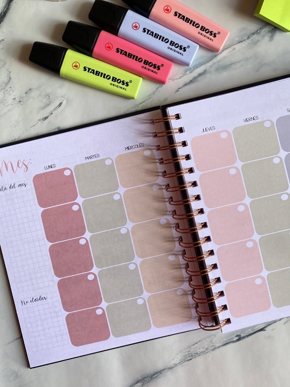 PLANNER PERPETUA