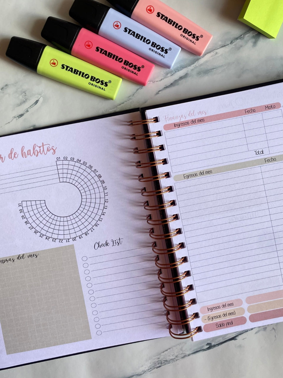 PLANNER PERPETUA