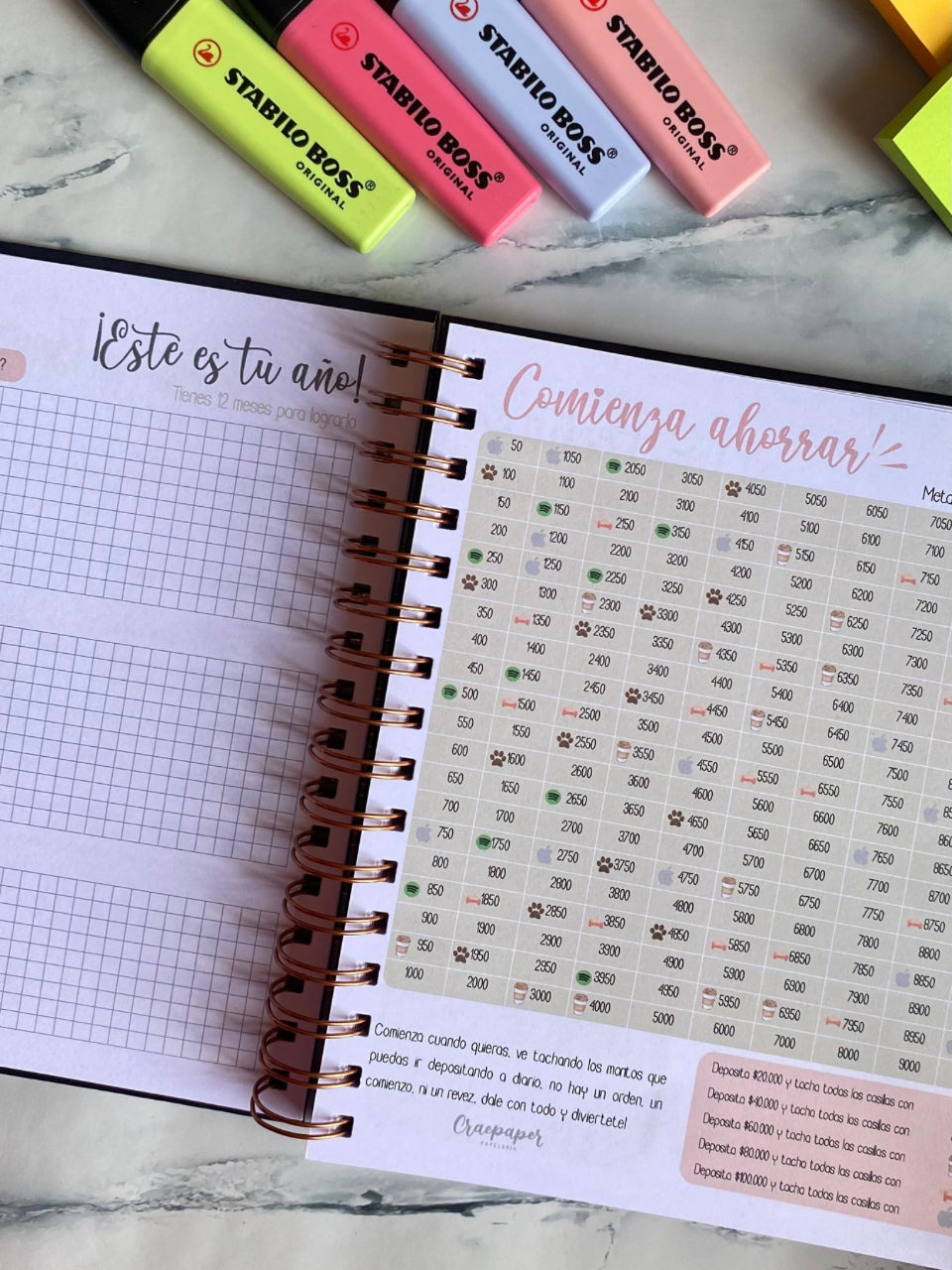 PLANNER PERPETUA